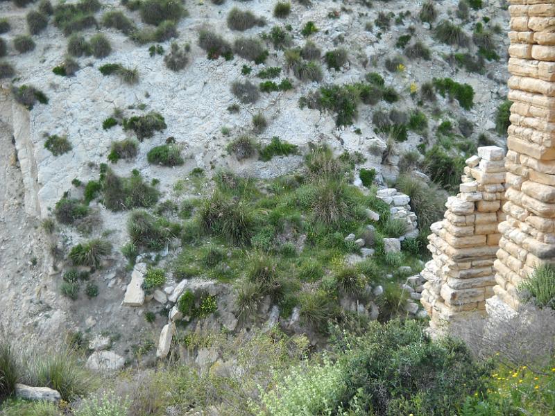 Jama-Zama Nikon 130.JPG